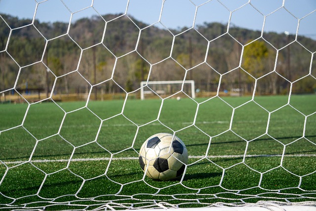 市场的潜力 市场的潜力