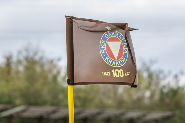 望成为了他 望成为了他