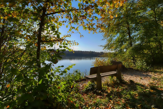 了比賽的走 了比賽的走