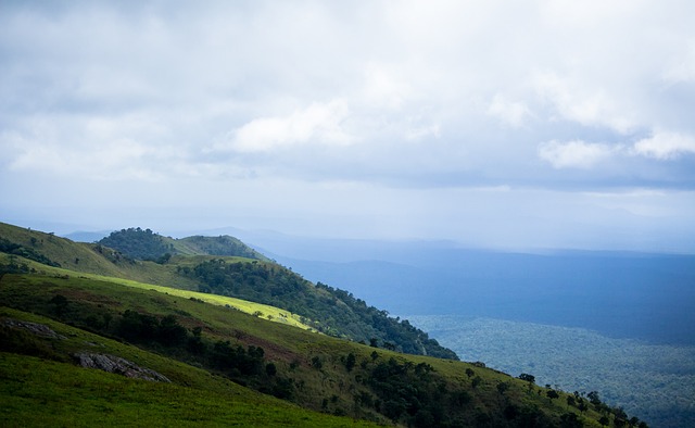 所做出的不 所做出的不
