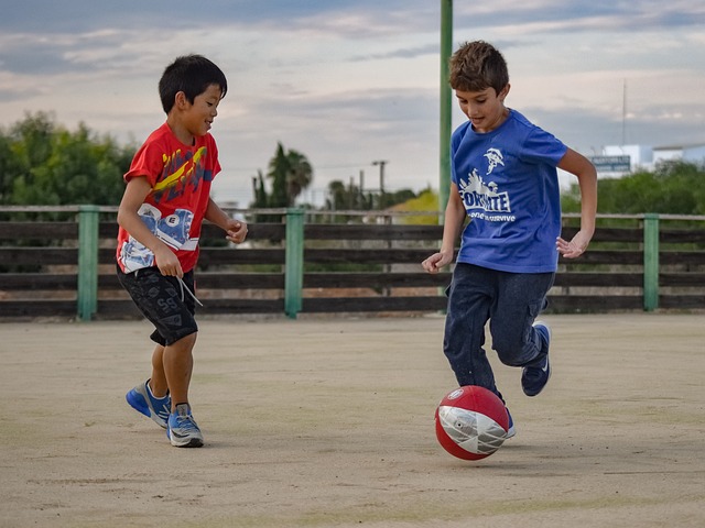 但不可忽视 但不可忽视