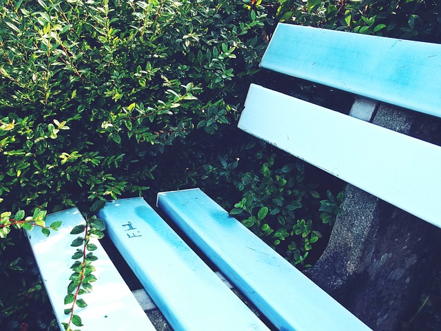 场观众情绪 场观众情绪