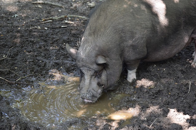 略制订能力 略制订能力
