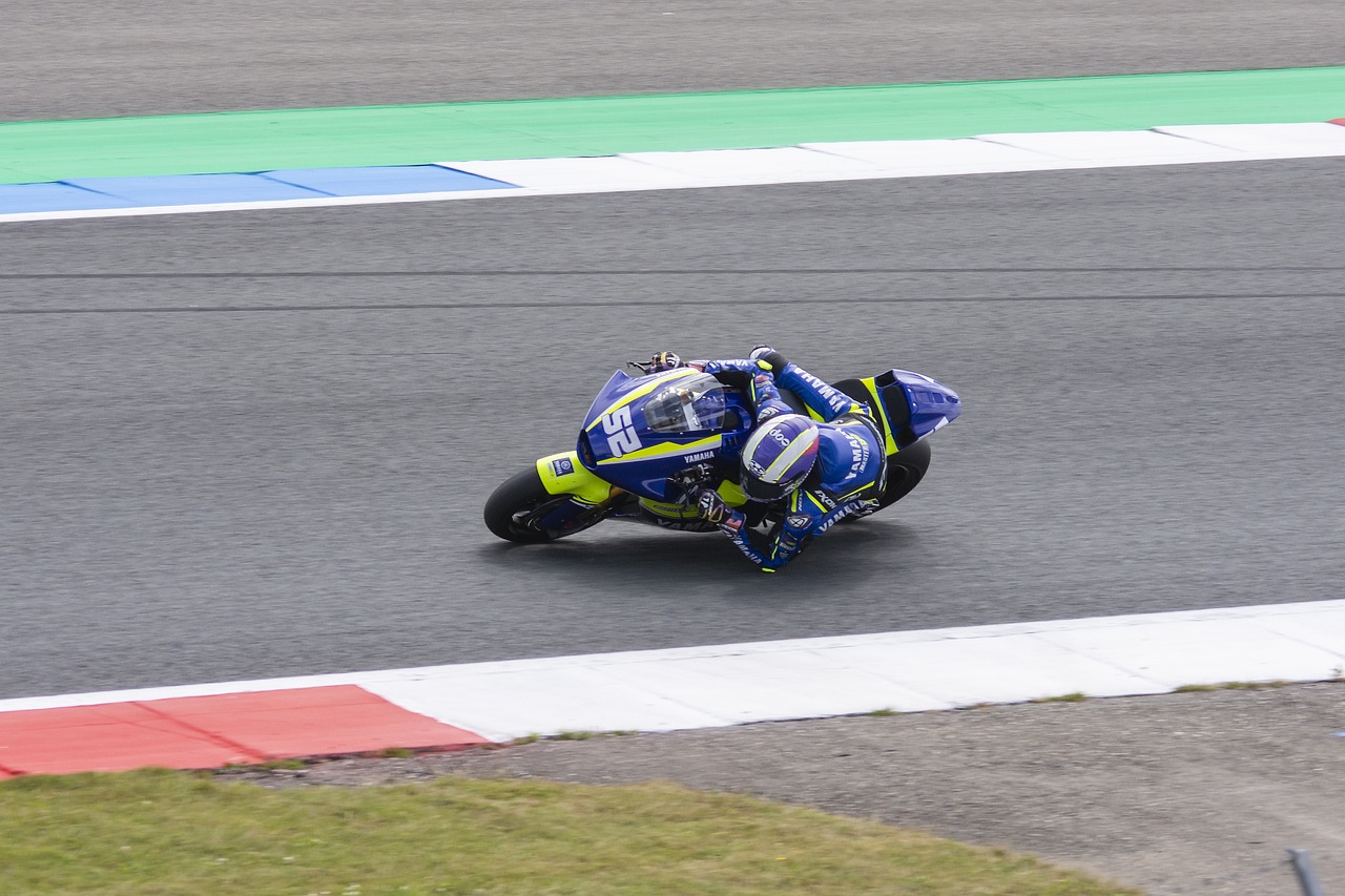 这一快决策 这一快决策