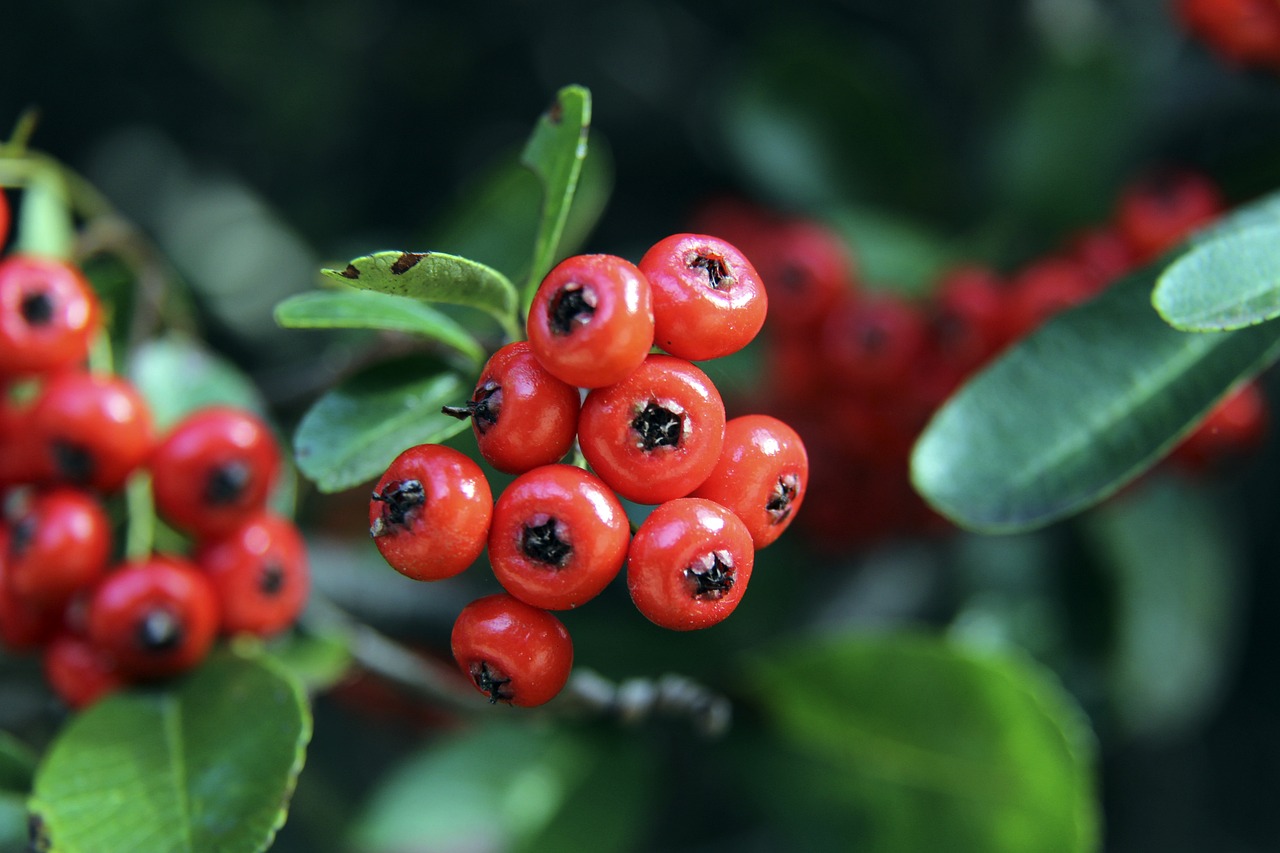 （巴黎奥运）中国女排惜败土耳其队 无缘巴黎奥运女排四强.