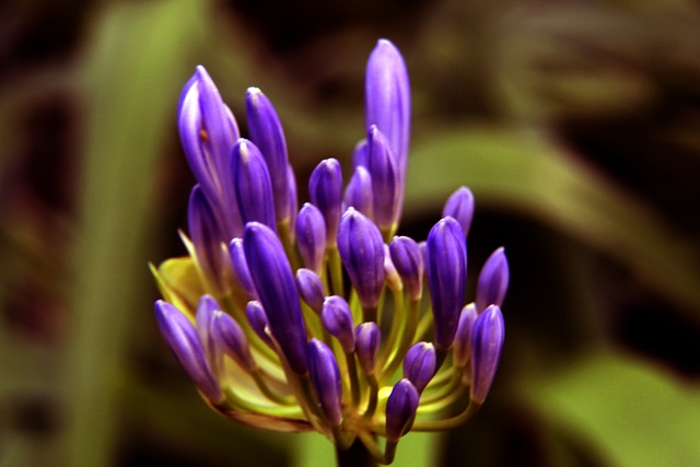 在巴萨看来 在巴萨看来