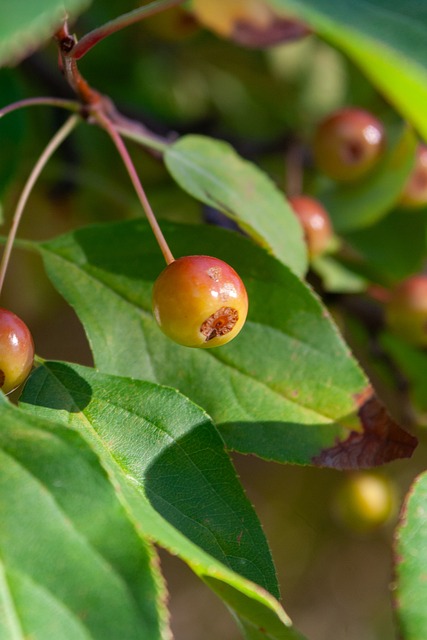 强者无敌与 强者无敌与